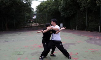 傳統(tǒng)武術(shù)真正厲害的地方是在于冷兵器而不是拳腳吧