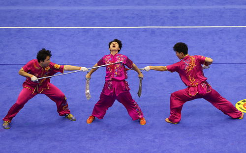 武術套路 大學組男子對練賽況