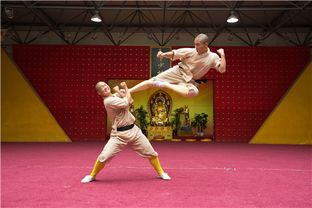 啟蒙武校,這里成了我造夢的工廠