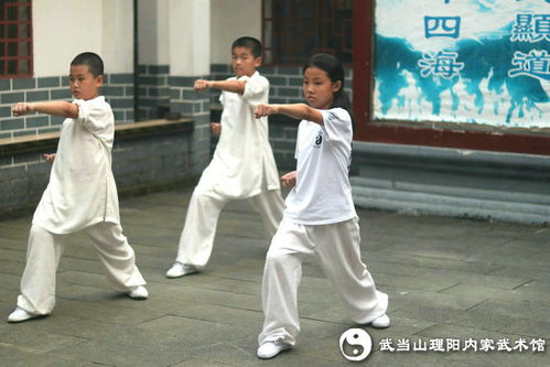 成長影像 2020武當(dāng)武術(shù)國學(xué)夏令營開營特輯