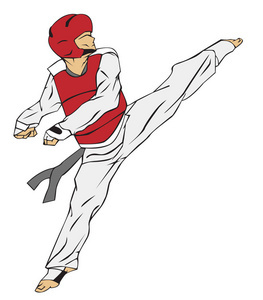 跆拳道與武術(shù) 東方武技的雙璧